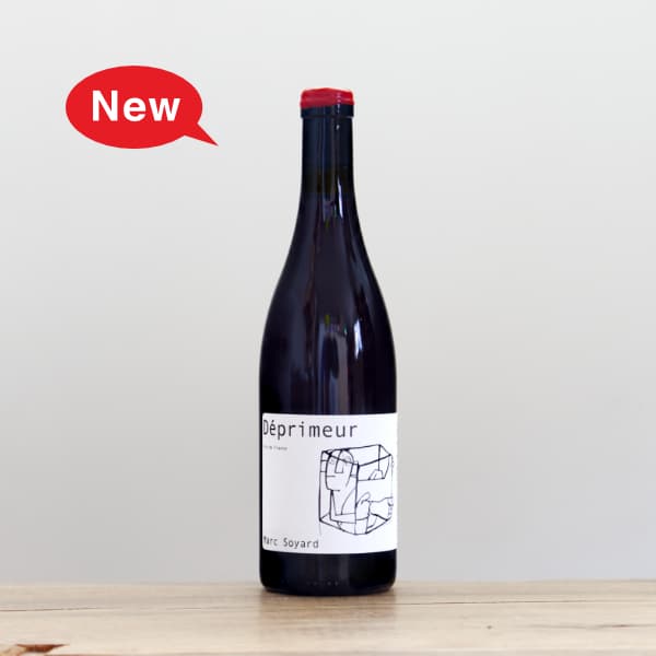 �ޥ륯�����磻�䡼�롡�ǥץ�ࡼ��2025��