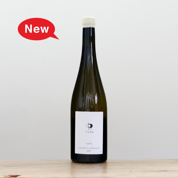 DOMAINE HASÉ ピノ・ファン blanc 19-20 ノムリエワイン:「Domaine Hase Pino Fan blanc 19-20」