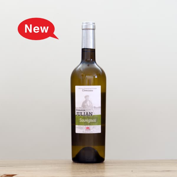 �륤������ꥢ�󡡥��������˥��֥��������ɥ�2025��