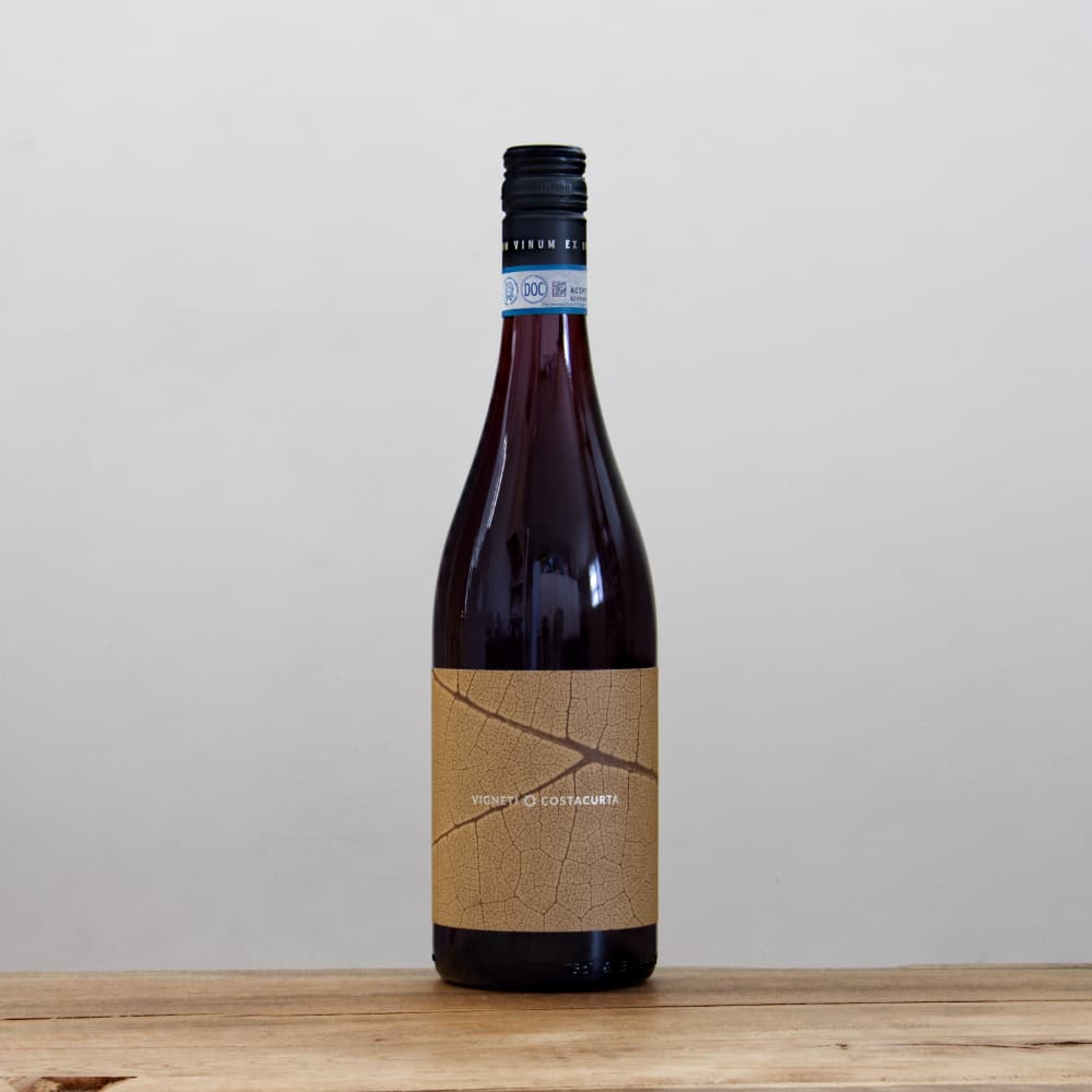 ヴィニェーティ・コスタクルタ ティンタウニータ2021赤