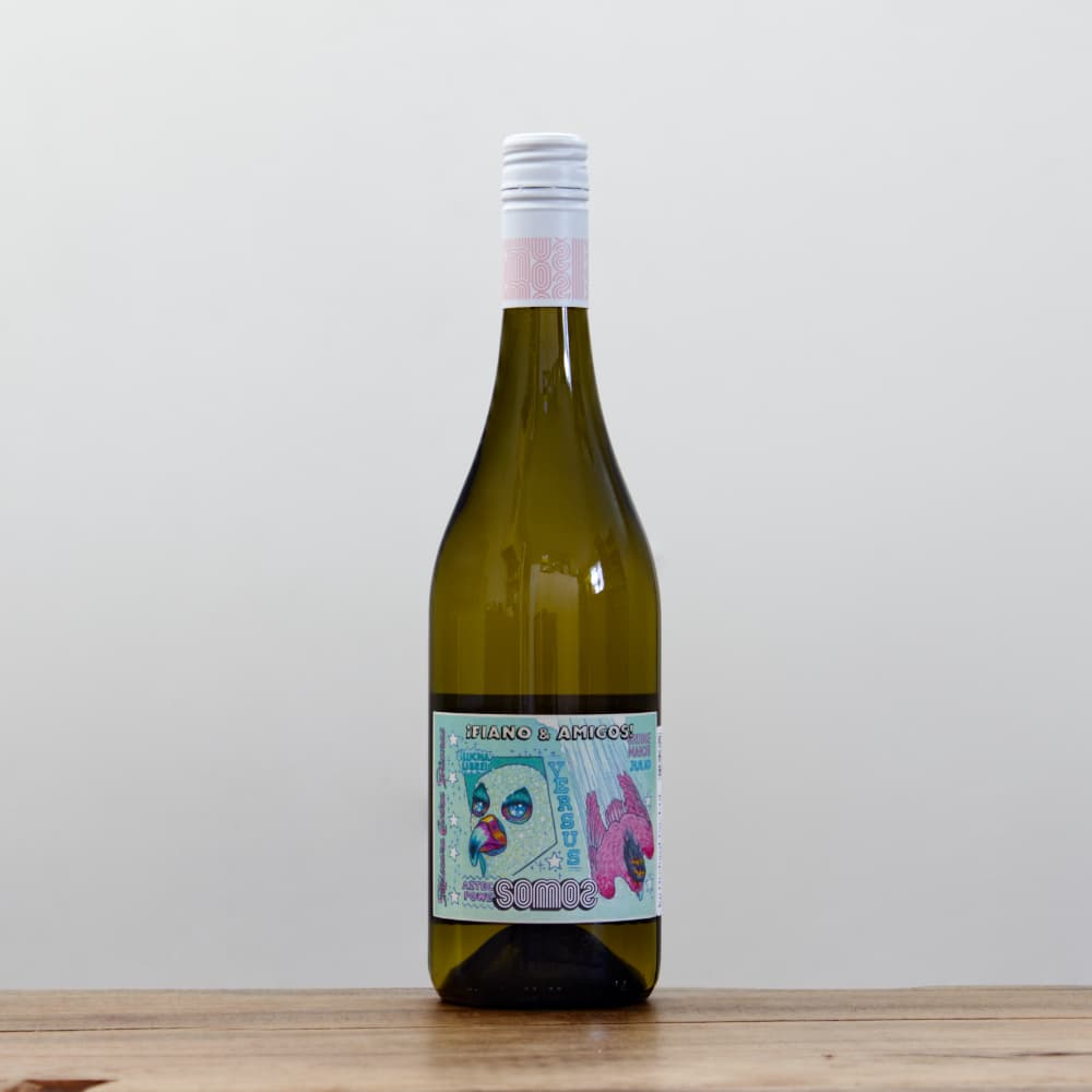 南コンゴ産 ポギーオオツノカナブン f. refino ペア 84mm 58mm 1_000000016202.jpg?1762508207