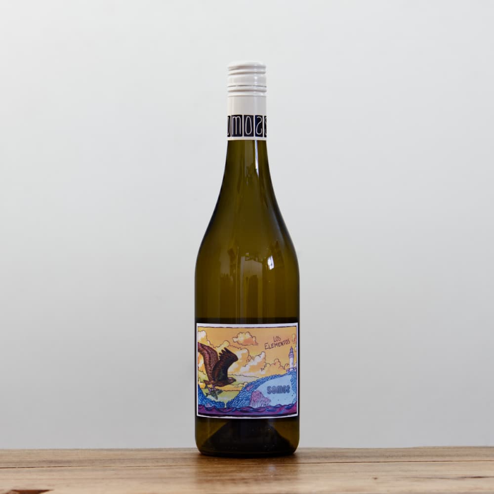 【レア】 EPISORD OF EPISORD VOL.2 ソモス ロス・エレメントス 2025白