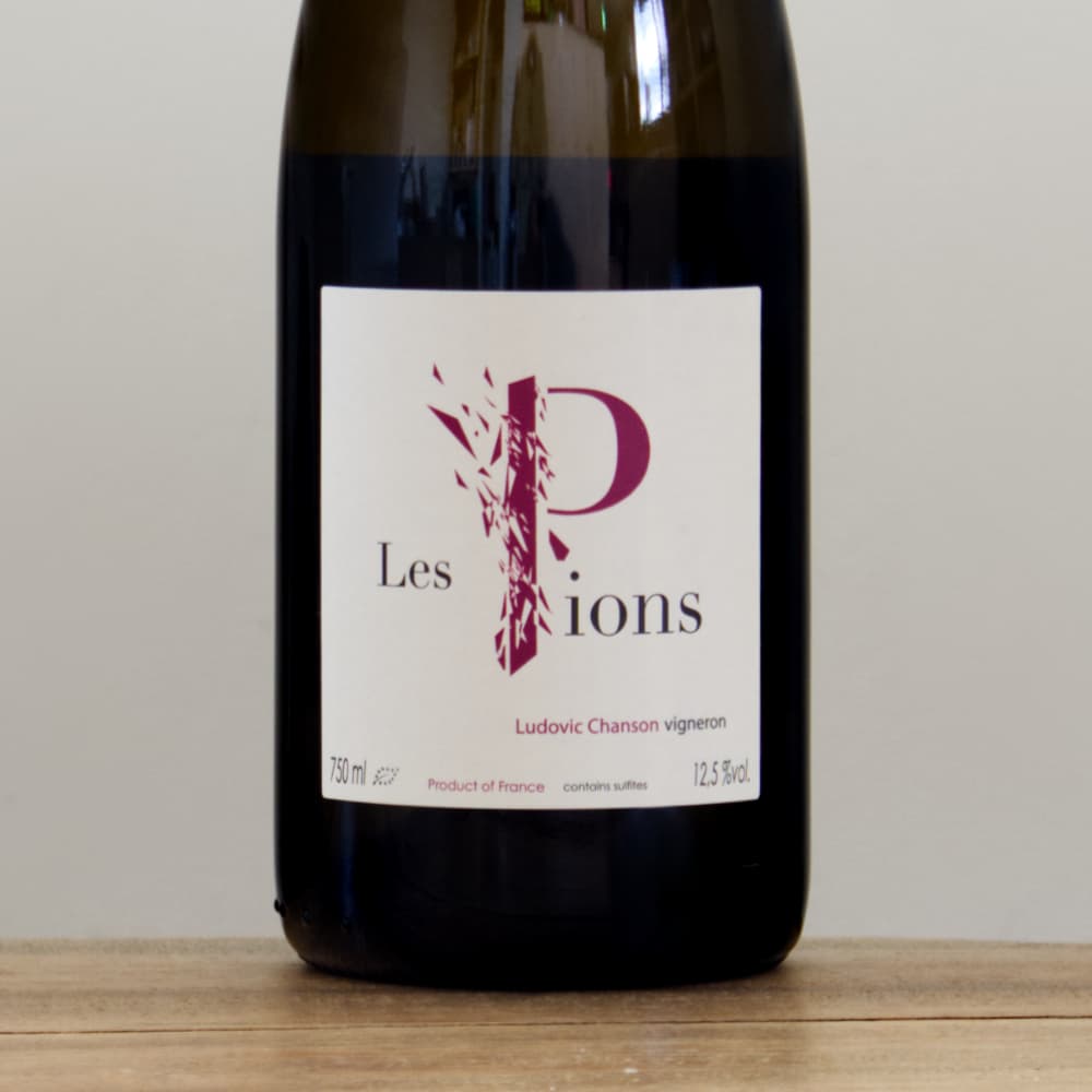 ウィンウィン　ポラロイド Icon Style No.8875 6-inch Classic Moc(10 オロラセット「ポーテージ