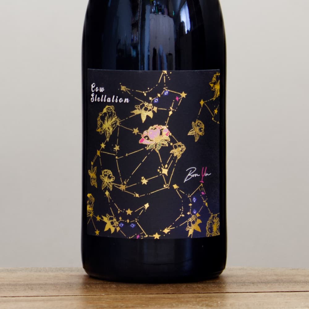 フランスワイン　ドメーヌ　ダグノーヴァンド　2021 フランスワイン ドメーヌ ダグノーヴァンド 2021 フランスワイン