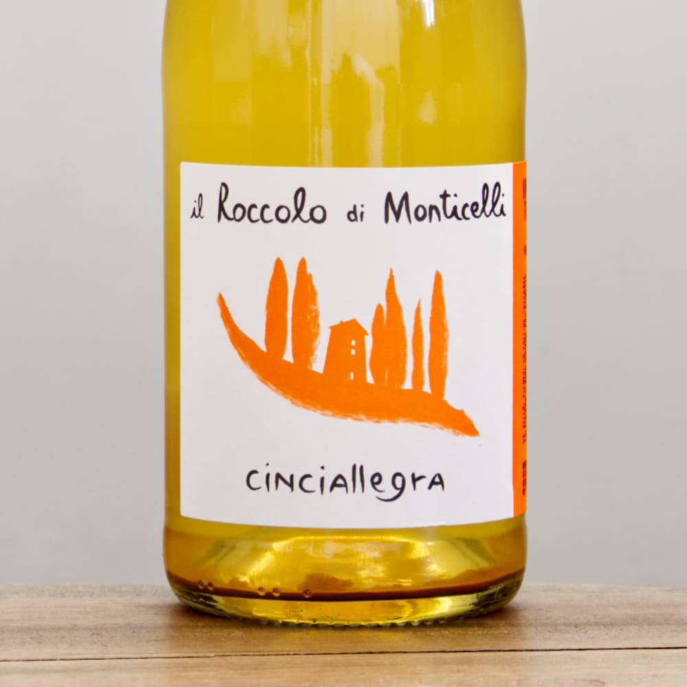 極美！モロッコjorf産の光沢が美しいCrotalocephalus 極美！モロッコjorf産の光沢が美しいCrotalocephalus 極美！モロッコ