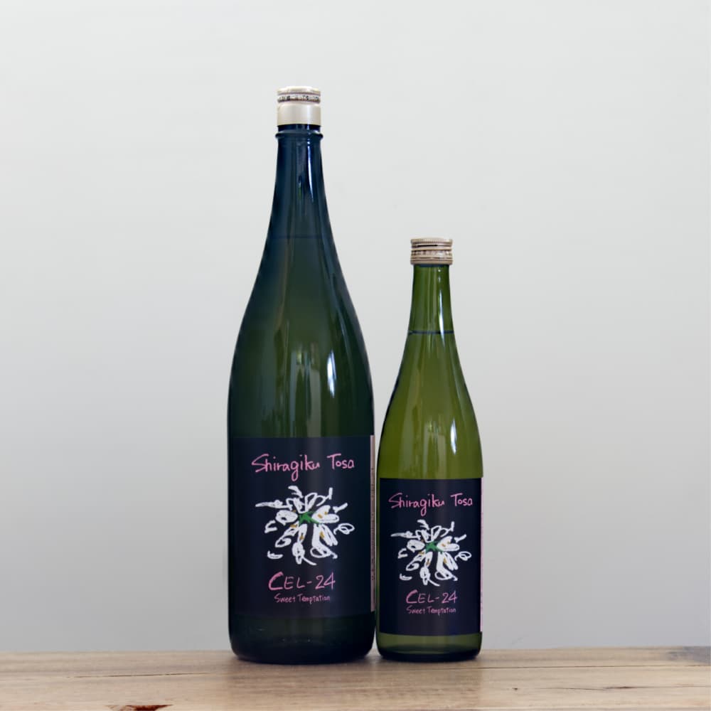 土佐しらぎく CEL-24 Sweet Temptation 720ml