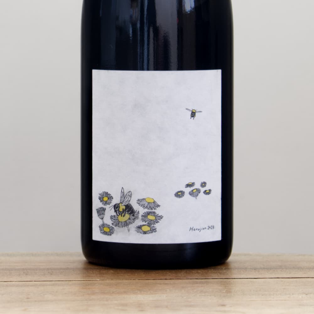 2_000000013923.jpg?1742445638