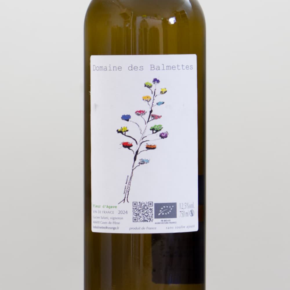 2_000000017525.jpg?1773739030