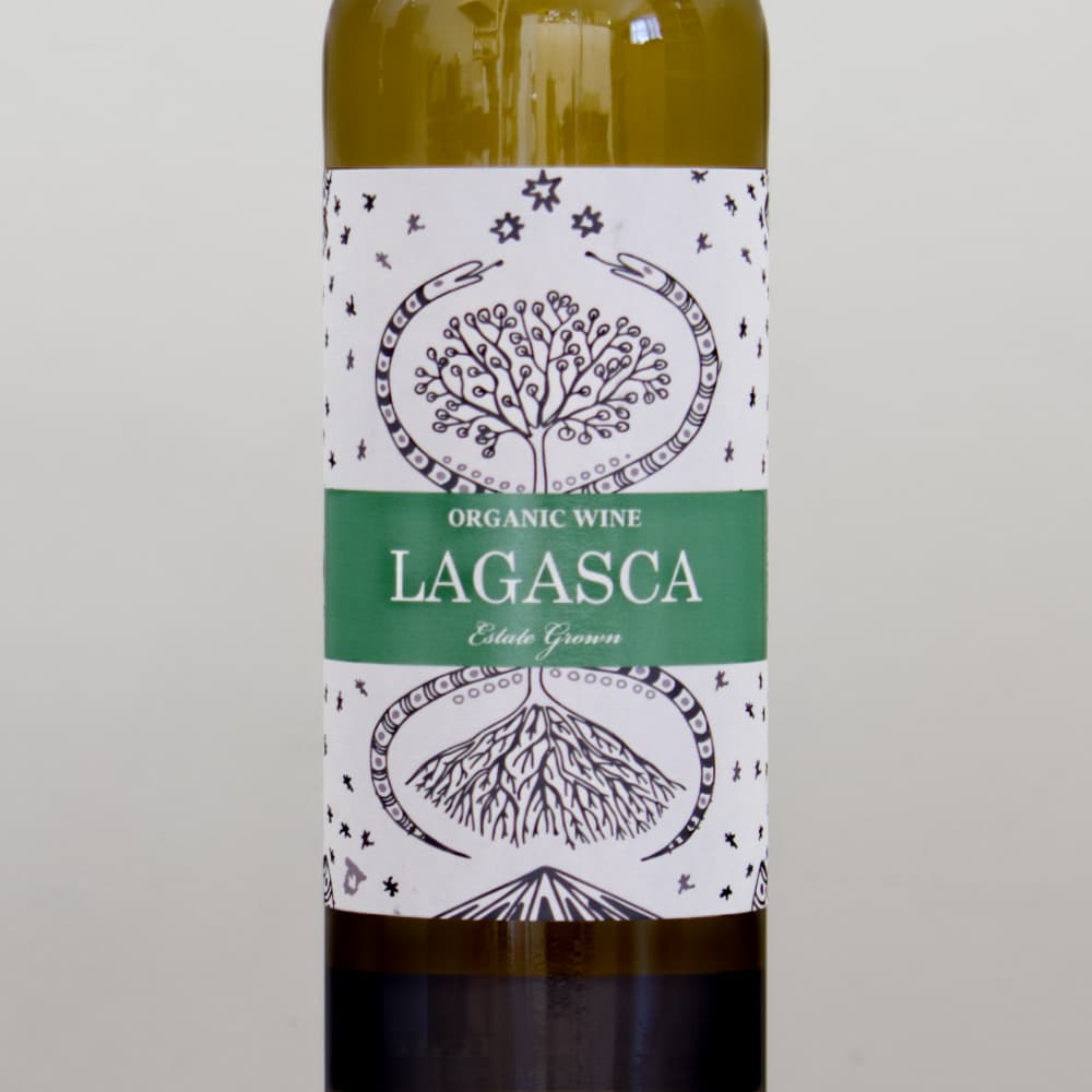 2_000000013728.jpg?1741070699