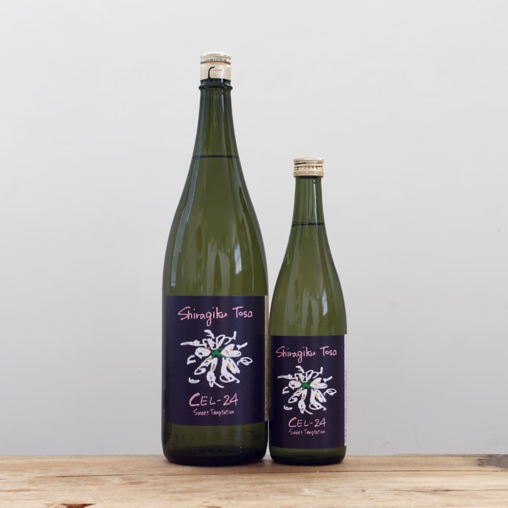 1_000000016036.jpg?1761040646