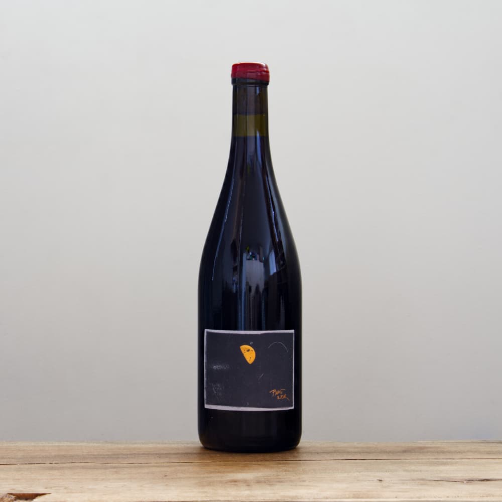 テールドシエル　シャルドネ　2022 ピノ・ノワール 2022 2本セット テールドシエル シャルドネ 2022 ピノ・ノワール 2022 2本セット