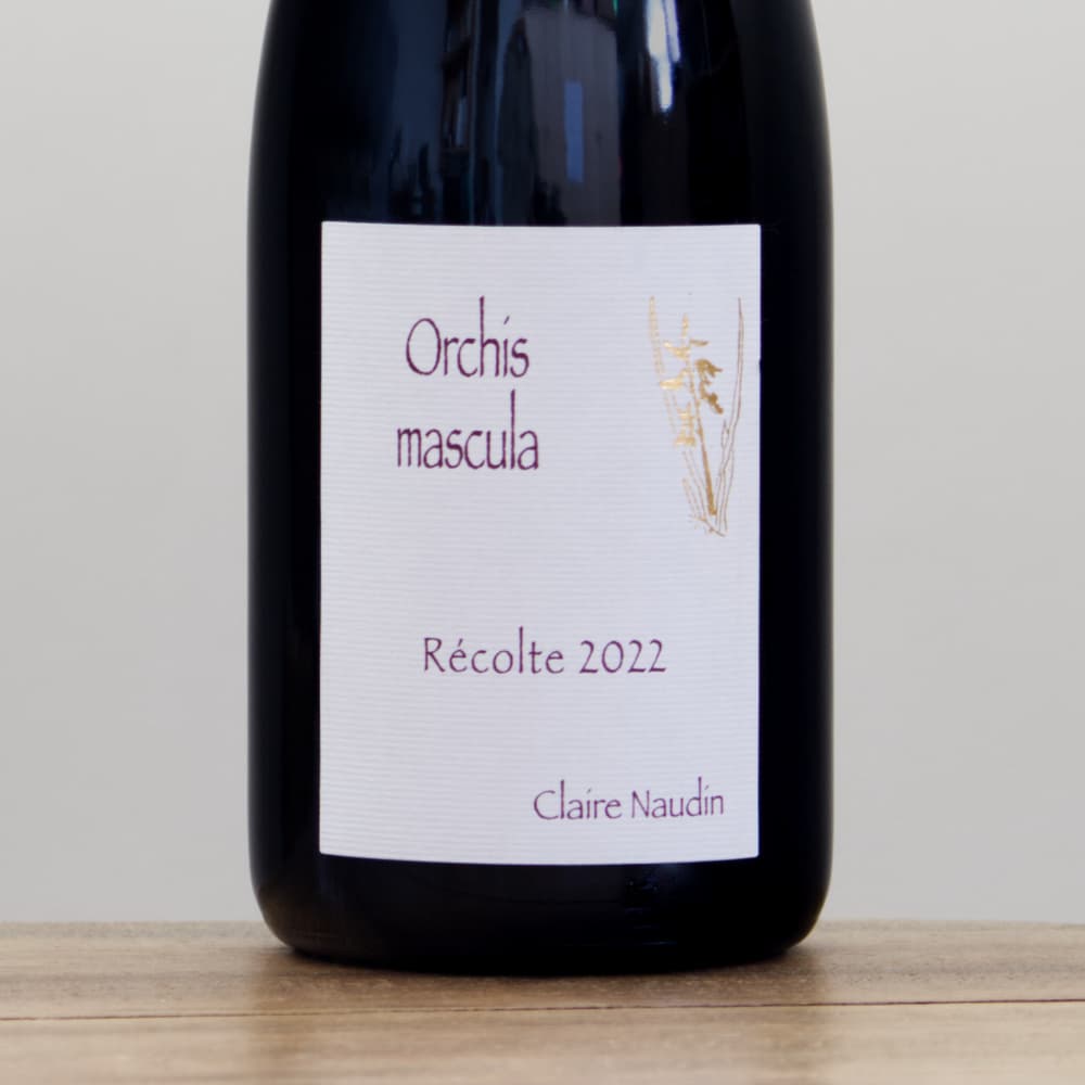 本日限定値下げドメーヌ・アンリ・ジェルマン　2020 2本 本日限定値下げドメーヌ・アンリ・ジェルマン 2020 2本