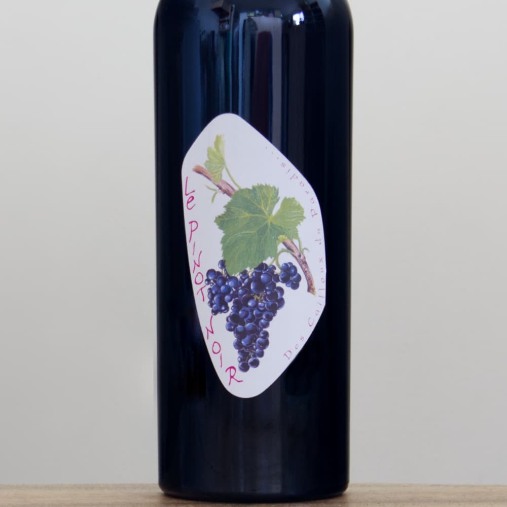 レ・カイユ・デュ・パラディ ル・ピノノワール2022赤