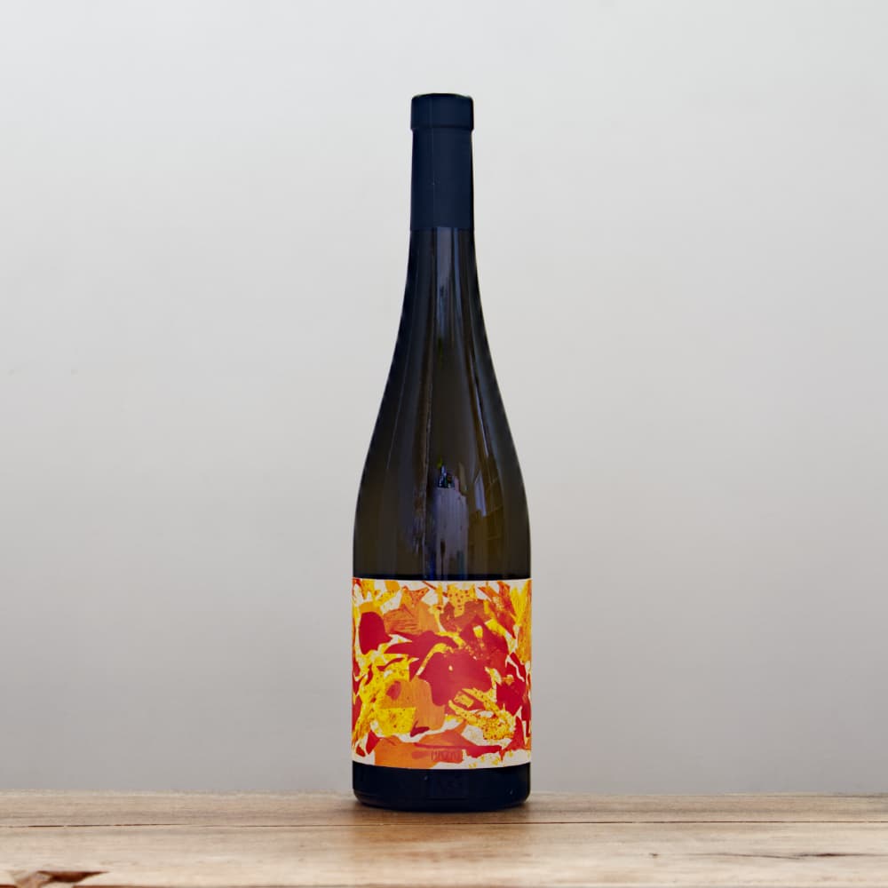 1_000000013677.jpg?1740466129