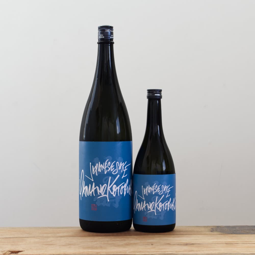 4_000000008377.jpg?1685095287