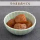 �ڿ�ȯ�䡦2�ĥ��åȡ۵������� �����ߡʵ���������ߡ�����̵�����᡼����