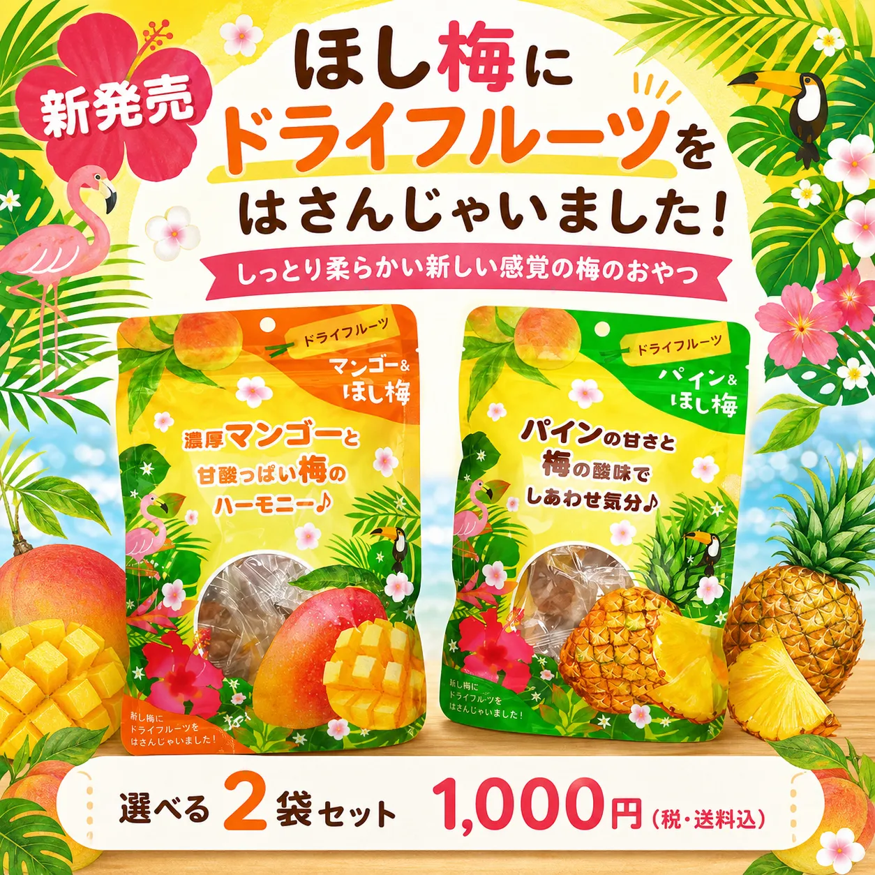 �ڿ�ȯ�䡦2�ĥ��åȡۥɥ饤�ե롼�ġ��ۤ��ߡ�����̵�����᡼����