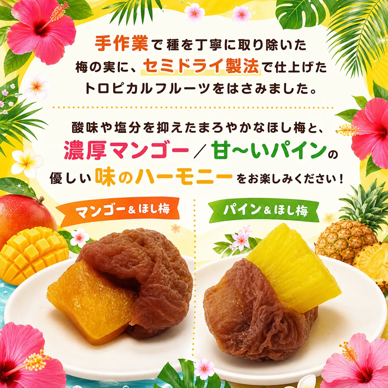 �ڿ�ȯ�䡦2�ĥ��åȡۥɥ饤�ե롼�ġ��ۤ��ߡ�����̵�����᡼����