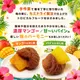�ڿ�ȯ�䡦2�ĥ��åȡۥɥ饤�ե롼�ġ��ۤ��ߡ�����̵�����᡼����