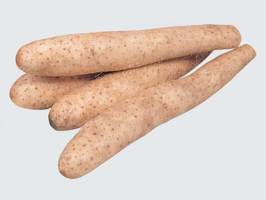 ������̵���ۡ��̳�ƻ�ۡڽ�������[Ĺ���� 1Ȣ5kg]��DM638�� �ʤ����� Ĺ�� �ʥ�����