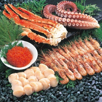 ������̵����[�������������å�]��DM003��