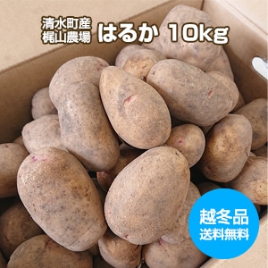 ��ͽ��ۡ�����̵���ۡڱ��ߡۡ��̳�ƻ �������建���ỳ����ۤ��㤬����[�Ϥ뤫 10kg]��2�̡��ͺ���ˡ�DM644��