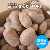 ͽ̵ۡۡڱߡ̳ۡƻ 建ỳۤ㤬[Ϥ뤫 10kg]2̡ͺˡDM644