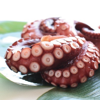 ������̵����[����­��������](���ɿ���2�ܥ��å�)��2�ܤ���1.6kg�ۡ�DM016��