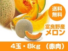 ��ͽ��ۡ�����̵���ۡ��̳�ƻ�ۡ������������[�����]4�̡�8kg ��DM607��