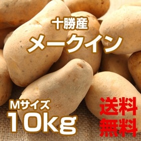 ��ͽ��ۡ�����̵���ۡ��̳�ƻ �������ۤ��㤬���� [�᡼������10kg]��M�������ˡ�DM636��