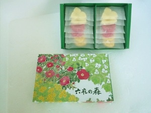 ��ϻ�����[ϻ�֤ο�]��12�����ۡ�DM204��