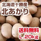 ��ͽ��ۡ�����̵���ۡ��̳�ƻ �������ۤ��㤬���� [�̤�����]�ʣ̡�20kg�ˡ�DM614��