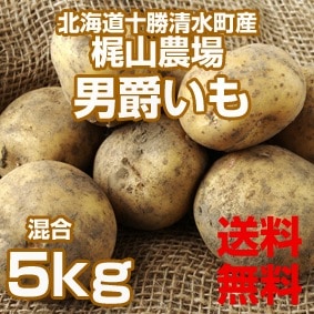 送料無料】【北海道 十勝清水産・梶山農場】じゃがいも [男爵5kg]（2L