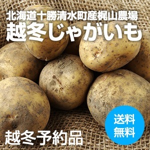 ��ͽ��ۡ�����̵���ۡڱ��߽����۱��ߤ��㤬������̳�ƻ �������建���ỳ�����[�̤����� 10kg]��M��2L���硦������������ �ˡ�DM642��