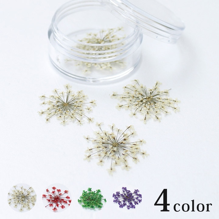 押花ミニパック レース 5輪 ケース入