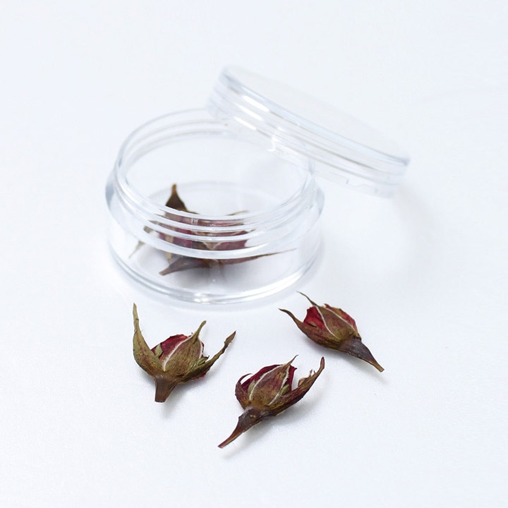 【お買い得品】押花ミニパック ローズ 5輪 ケース入