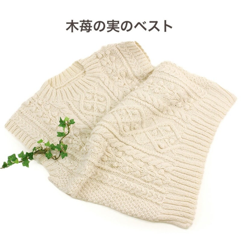 内藤商事 木苺の実のベスト