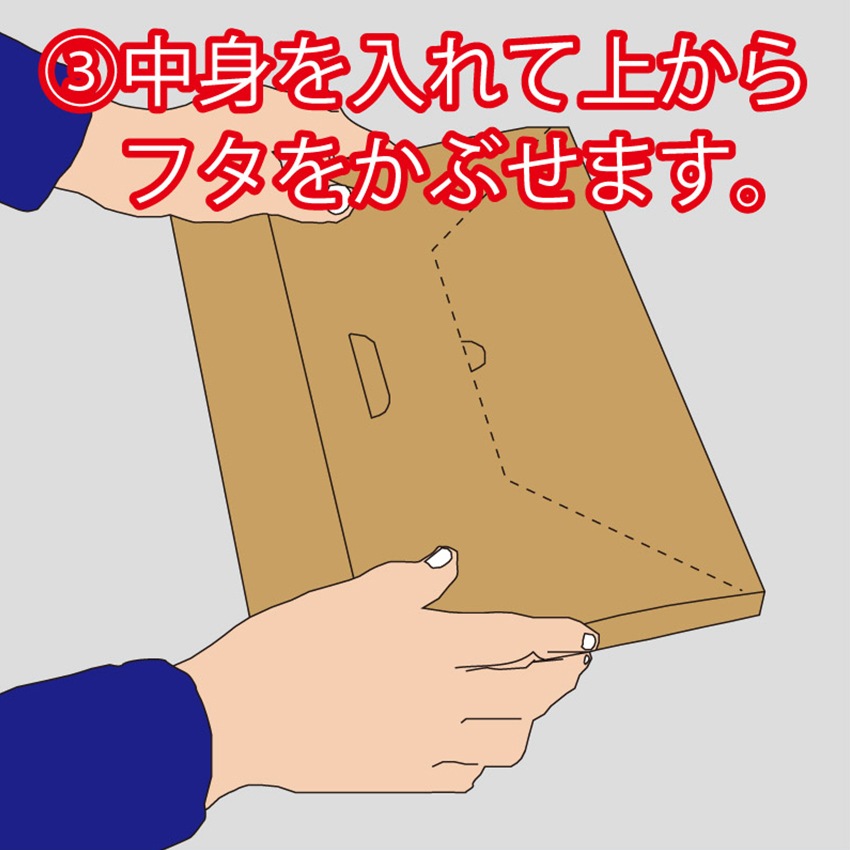 発送用段ボール  A4-H30 3枚入