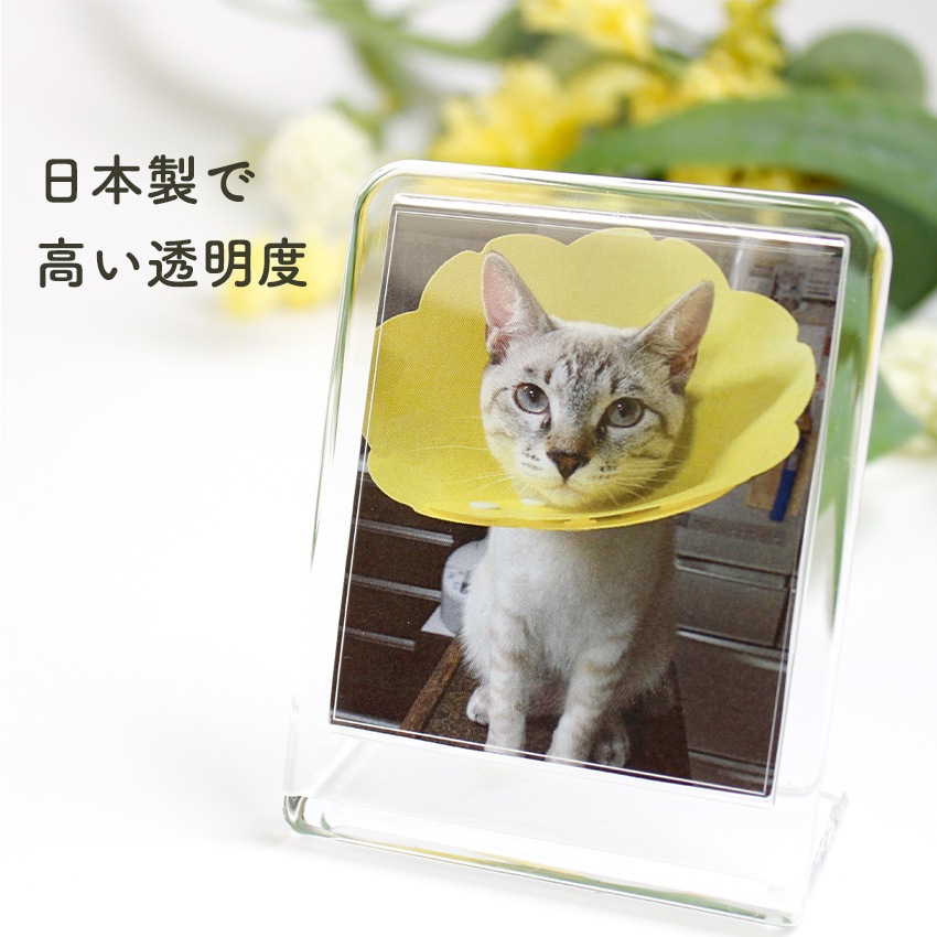 フォトスタンドキット(ハメパチ) 