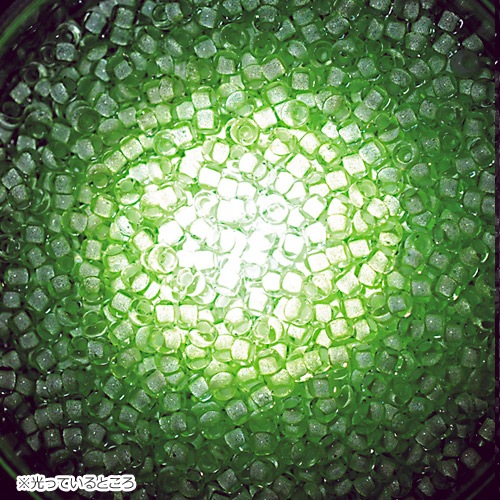 ビーズ　グラスビーズ　丸大　ピカットビーズ Lグリーン 2503
