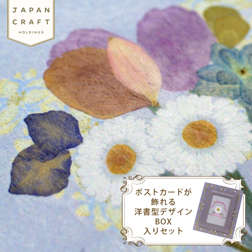 押し花スターターキット