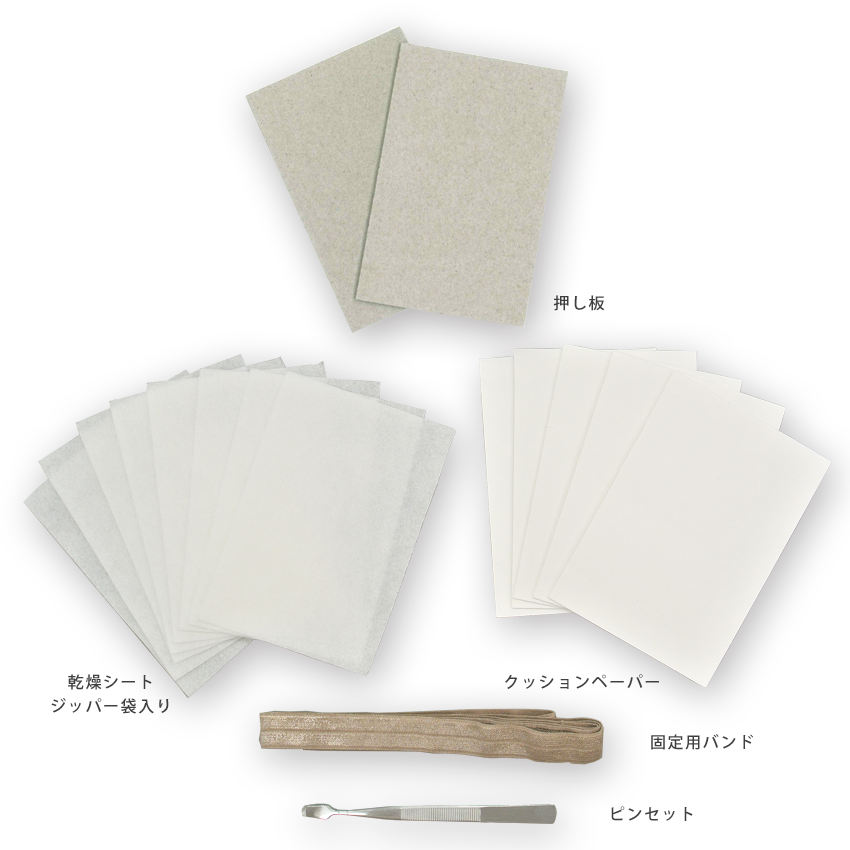 押し花スターターキット