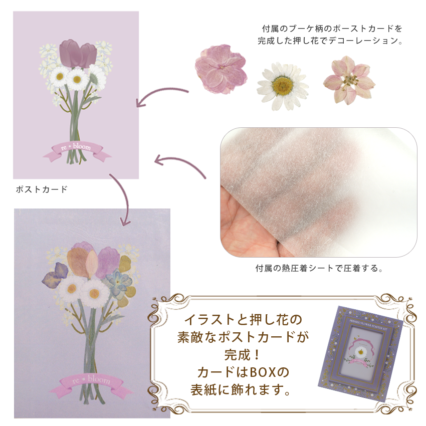 押し花スターターキット