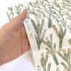 kippis Varpu 小枝 オックス 50cm カットクロス