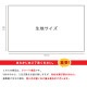 W巾ダブルガーゼ WC40631 アソート 100cm×137cm (カットクロス)