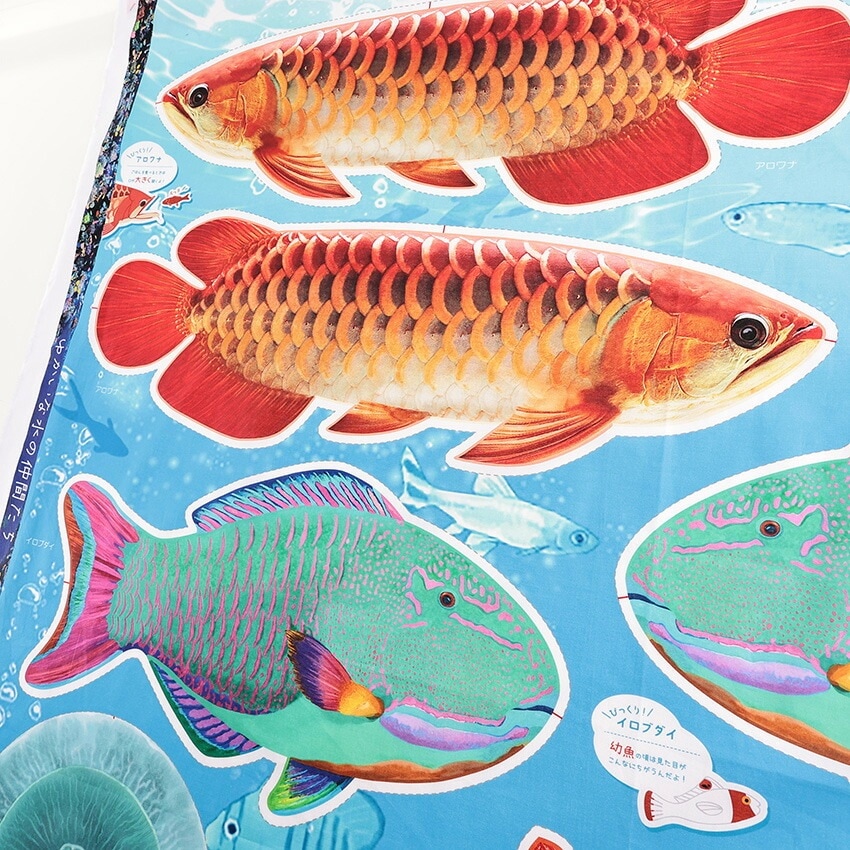 アロワナ　額　壁飾り　2つセット インクジェットパネル 水の仲間たち アロワナ 108×95cm カットクロス