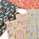 V&A Fabric Collection アリスの冒険 綿麻キャンバス 50cm単位