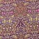 【在庫限り】V&A Fabric Collection Blackthorn シーチング 50cm単位
