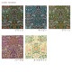 【在庫限り】V&A Fabric Collection Blackthorn シーチング 50cm単位