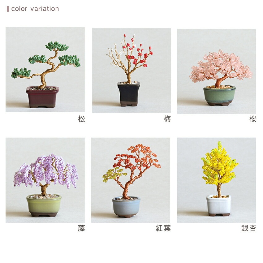 ネジッテ BONSAIキット | 置物 | 手芸用品の卸売りサイト「クラフト